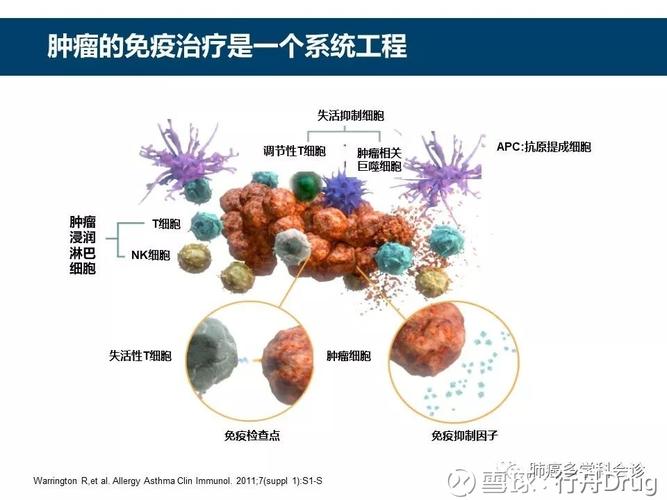 免疫与基因协奏曲：谱写癌症第五疗法的序章