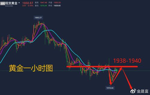 葫芦岛晟富：5.4威海市场周评！下周趋势分析及操作布局