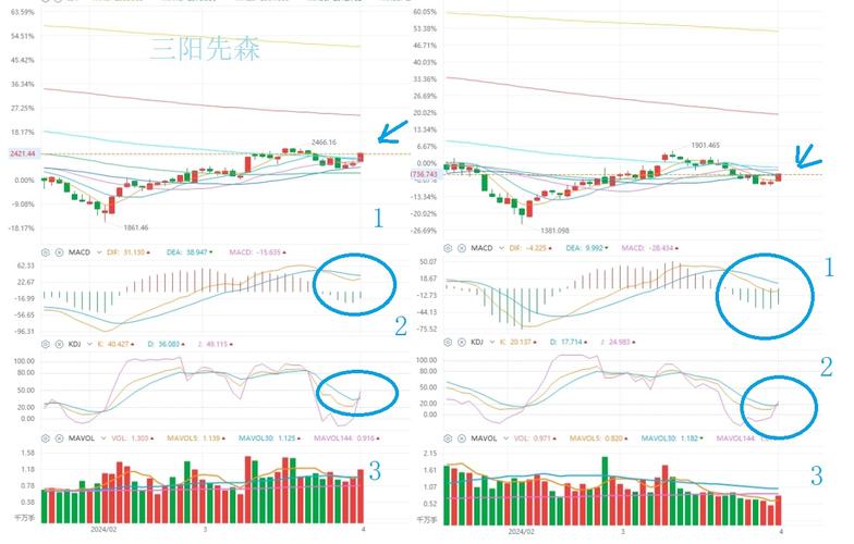 万辰集团盘中飙涨5%，行情大放异彩