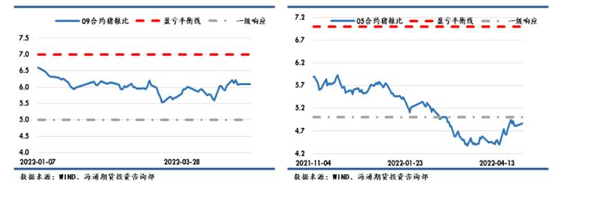 5月6日日期货分析：市场动向揭秘