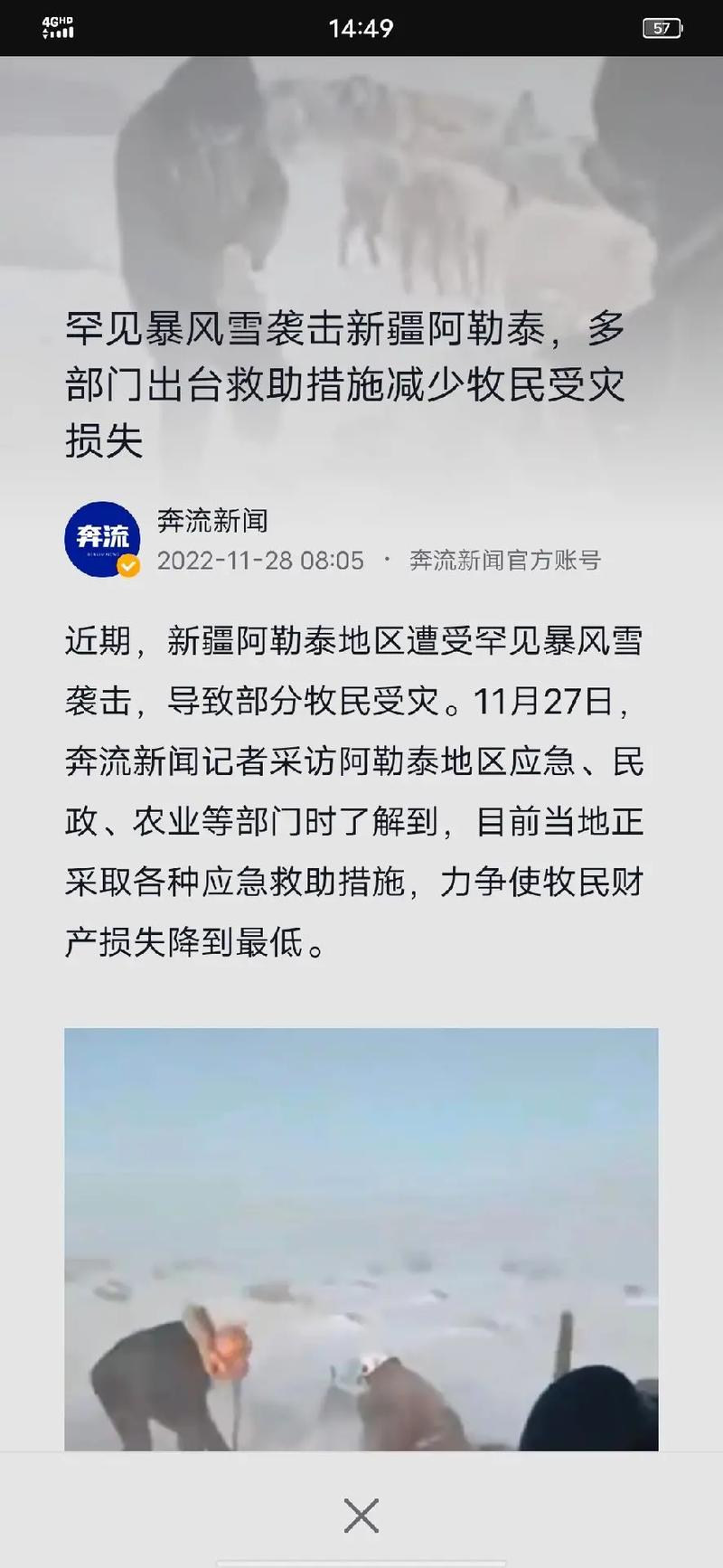 雪人股份业绩预告失准 被警示责任人