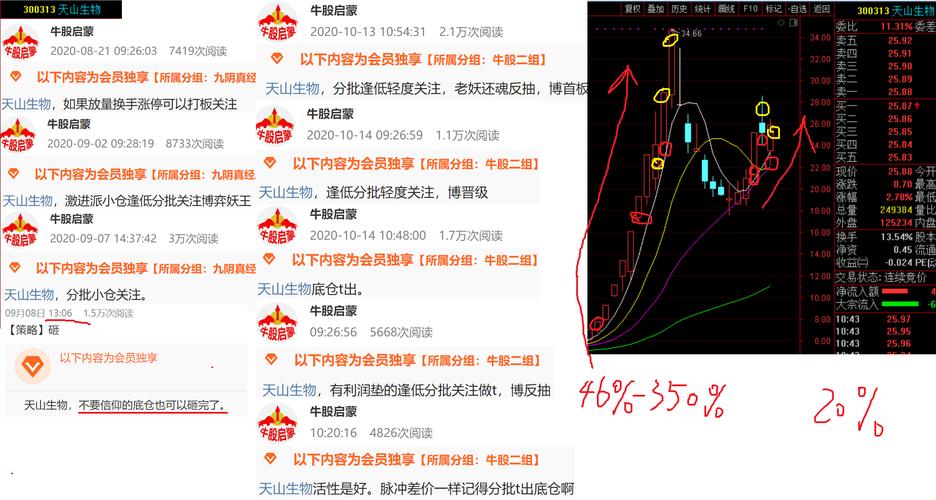 世龙实业盘中涨停，市场掀起热潮